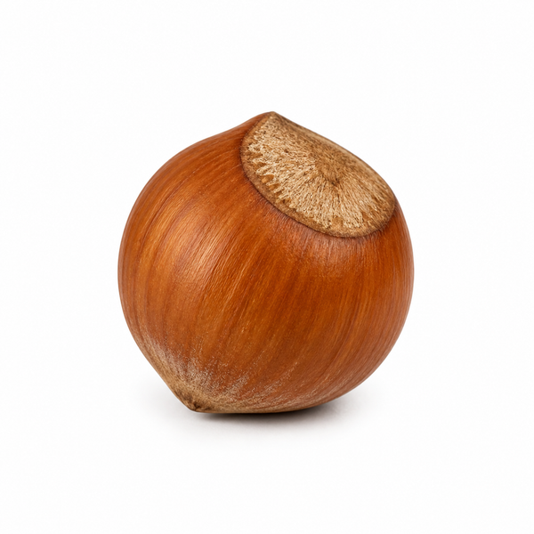 ​Hazelnut